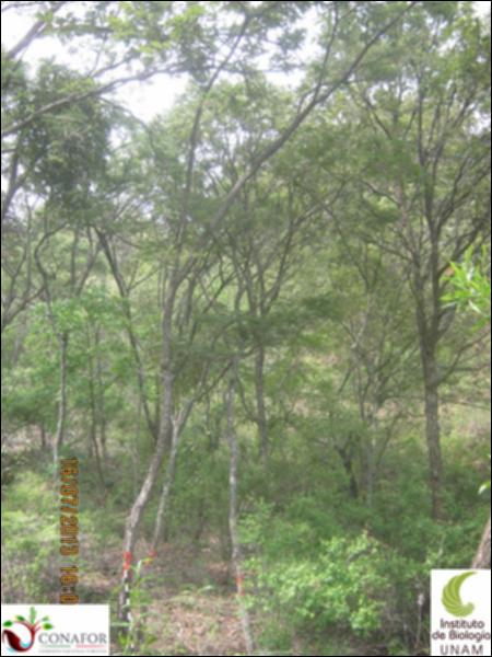 61546_S3_ARC_20130716_002.jpg.jpg