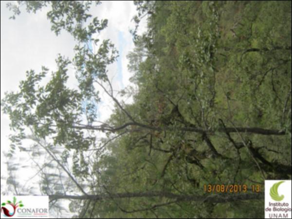 37346_S1_ARC_20130813_017.jpg.jpg
