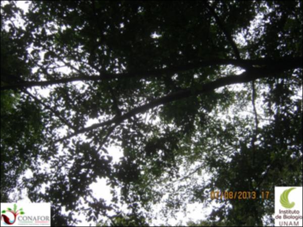 54737_S1_ARC_20130807_014.jpg.jpg