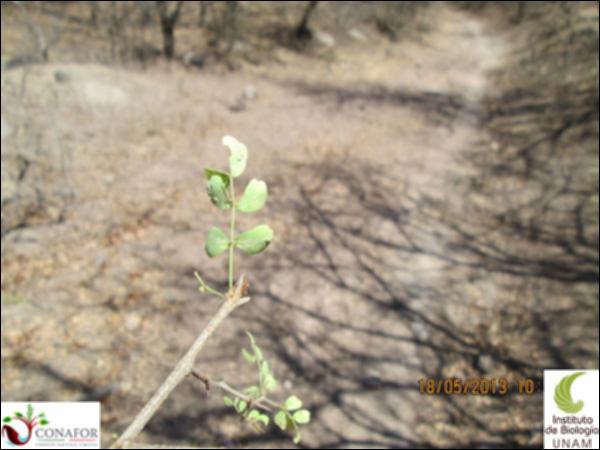 32392_S4_HJ2_20130518_005.jpg.jpg