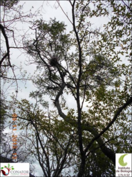 71410_S1_ARC_20131109_015_002.jpg.jpg