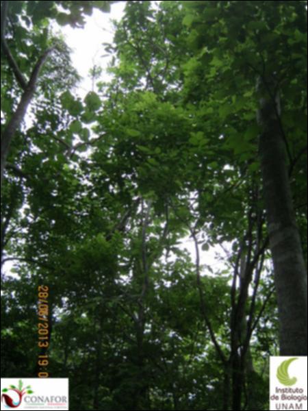 77577_S1_ARC_20130628_007_002.jpg.jpg