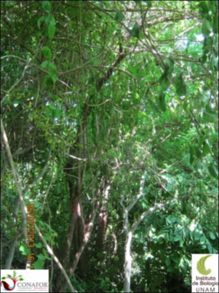 77662_S1_ARC_20130705_026_001.jpg.jpg