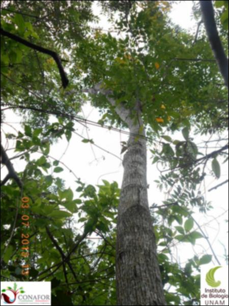 77505_S4_ARC_20130703_016_002.jpg.jpg
