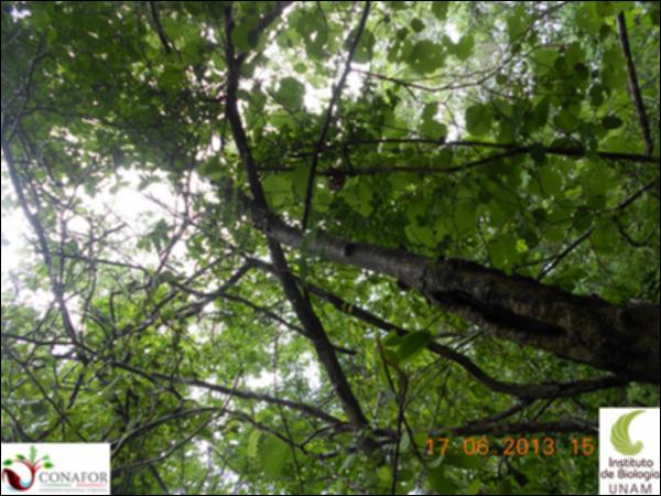 51199_S3_ARC_20130614_039_001.jpg.jpg