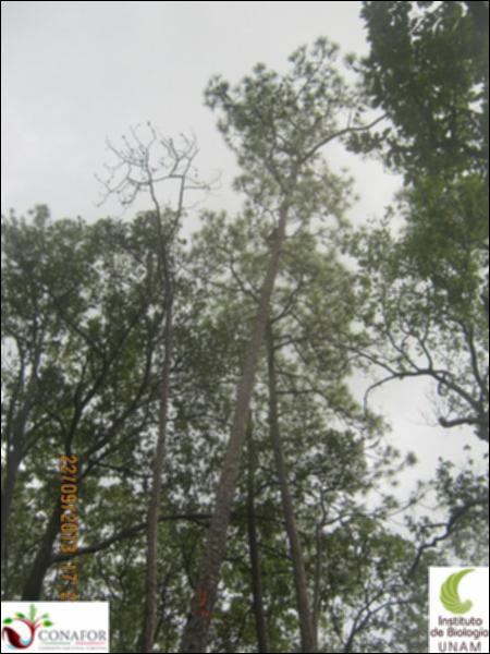 34860_S3_ARC_20130922_005.jpg.jpg
