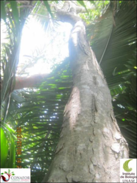 50076_S3_ARC_20130708_013.jpg.jpg