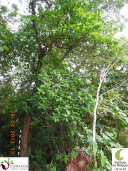 65025_S4_ARC_20130428_010_001.jpg.jpg