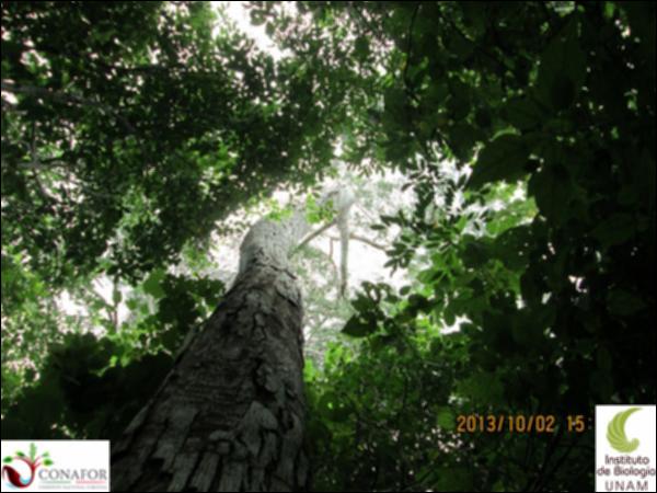 55684_S1_ARC_20131002_001_001.jpg.jpg