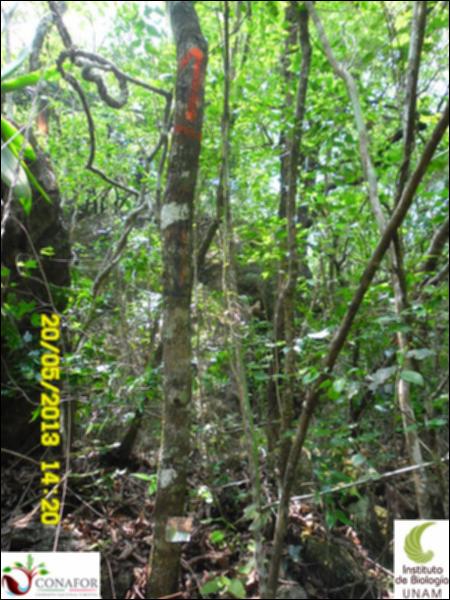 45563_S1_ARC_20130520_001.jpg.jpg