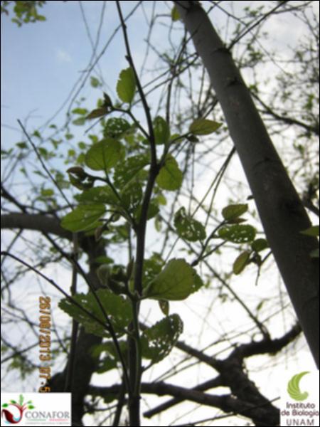 63069_S2_HJ2_20130626_008.jpg.jpg