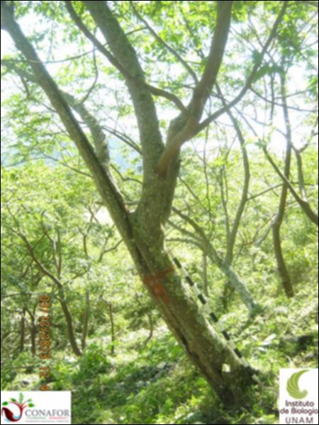 54642_S4_ARC_20131203_008_001.jpg.jpg
