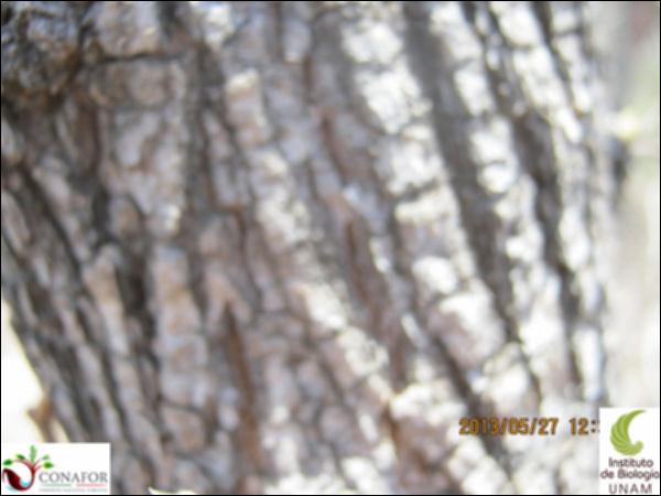 28281_S2_CRT_20130527_027.jpg.jpg