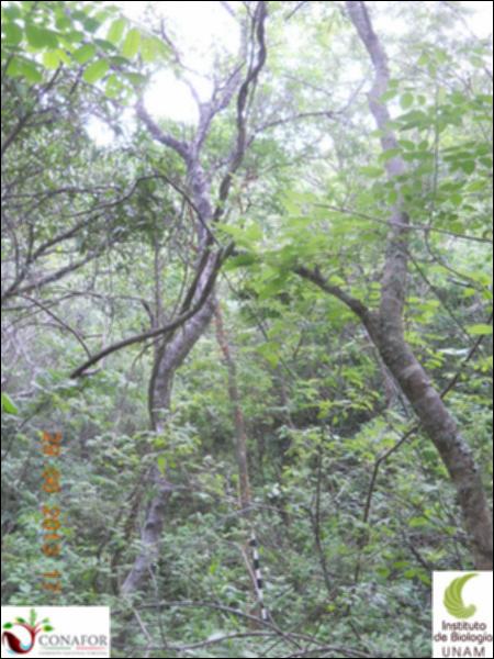 76444_S2_ARC_20130629_014_001.jpg.jpg