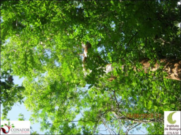 49574_S1_ARC_20130615_020_001.jpg.jpg