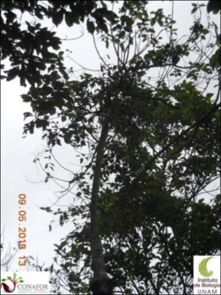 73361_S1_ARC_20130509_005_002.jpg.jpg