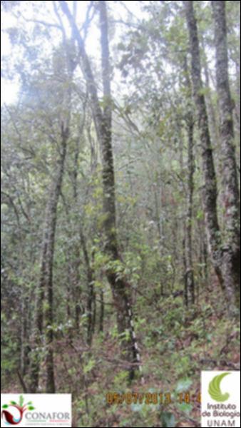 74748_S1_ARC_20130705_009_001.jpg.jpg