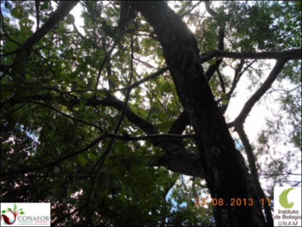70487_S2_ARC_20130823_003_002.jpg.jpg
