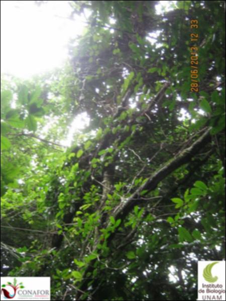 73138_S3_ARC_20130626_016_002.jpg.jpg