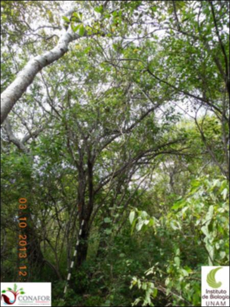 67567_S1_ARC_20131003_004_001.jpg.jpg