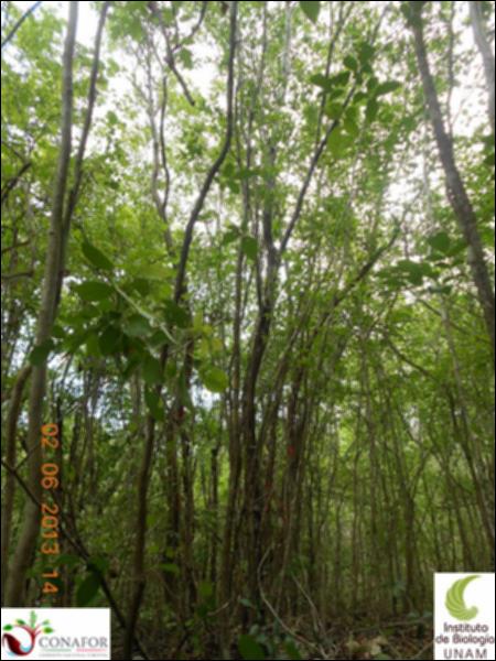 51895_S1_ARC_20130602_004_001.jpg.jpg
