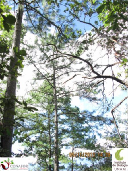 38839_S1_ARC_20131105_013.jpg.jpg