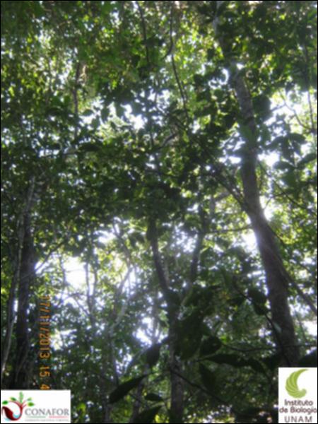 48833_S1_ARC_20131117_015_002.jpg.jpg