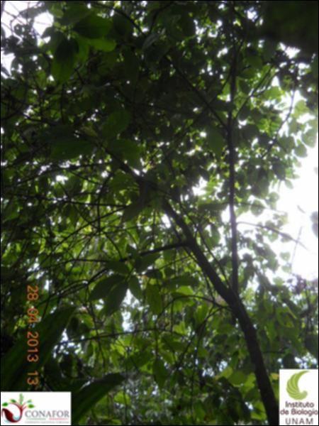 64717_S1_ARC_20130427_013_002.jpg.jpg