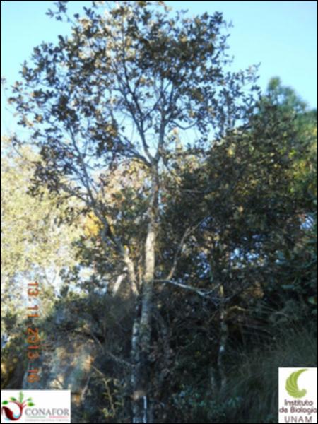 27364_S1_ARC_20131113_009.jpg.jpg
