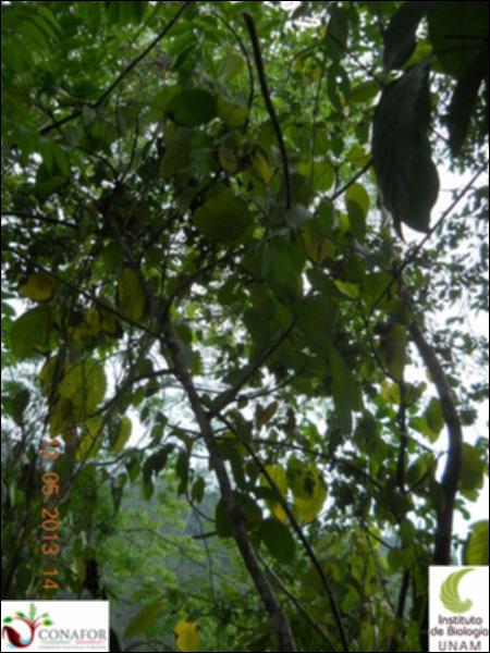 71465_S1_ARC_20130512_005_002.jpg.jpg