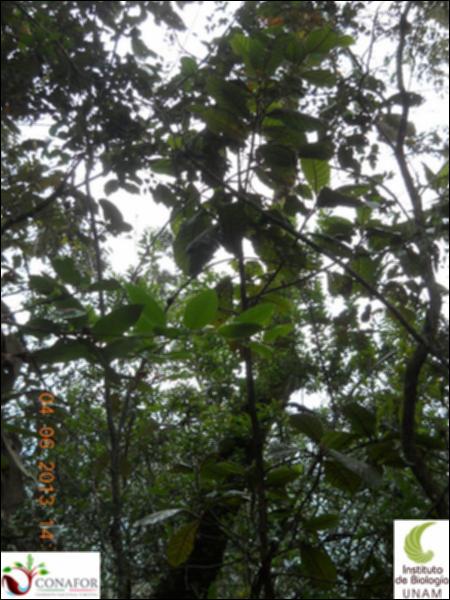 72072_S4_ARC_20130603_012_001.jpg.jpg
