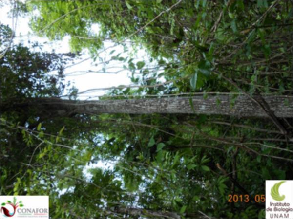 59434_S1_ARC_20130526_006_001.jpg.jpg