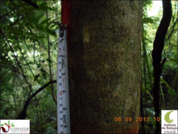 70884_S3_CRT_20130905_001_001.jpg.jpg