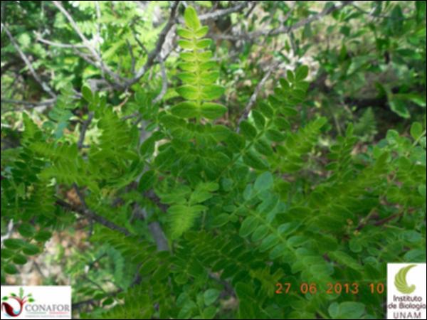 75926_S1_HJ1_20130626_003_001.jpg.jpg