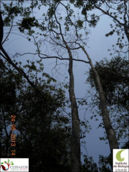 73788_S2_ARC_20130523_009_002.jpg.jpg
