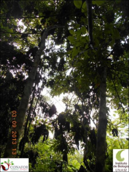 71541_S4_ARC_20130903_018_002.jpg.jpg