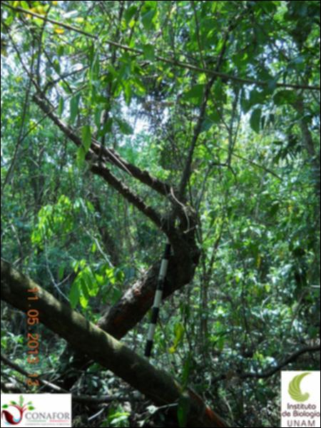 71892_S1_ARC_20130510_030_001.jpg.jpg
