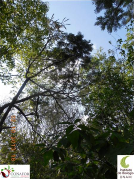 68092_S1_ARC_20131002_001_002.jpg.jpg