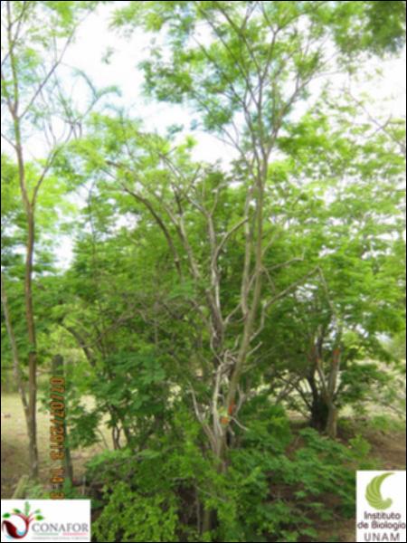 65742_S4_ARC_20130707_008.jpg.jpg