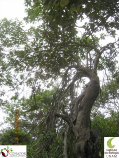 72894_S1_ARC_20130805_018_002.jpg.jpg
