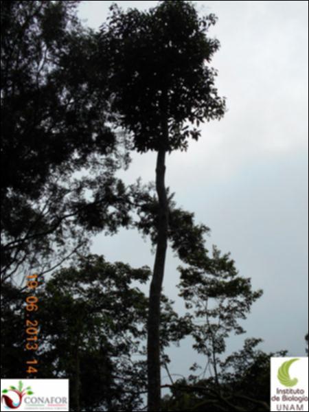 77510_S2_ARC_20130619_001_002.jpg.jpg
