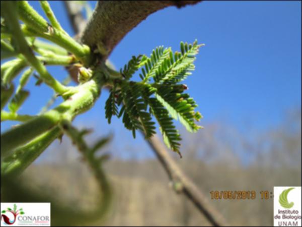 32392_S4_HJ1_20130518_006.jpg.jpg
