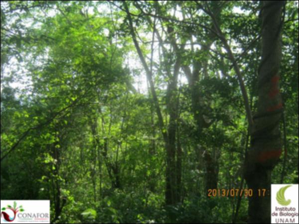 46421_S3_ARC_20130730_010.jpg.jpg