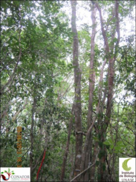 51194_S1_ARC_20130609_003_001.jpg.jpg