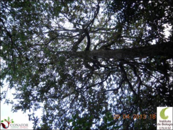 51598_S1_ARC_20130420_007_002.jpg.jpg