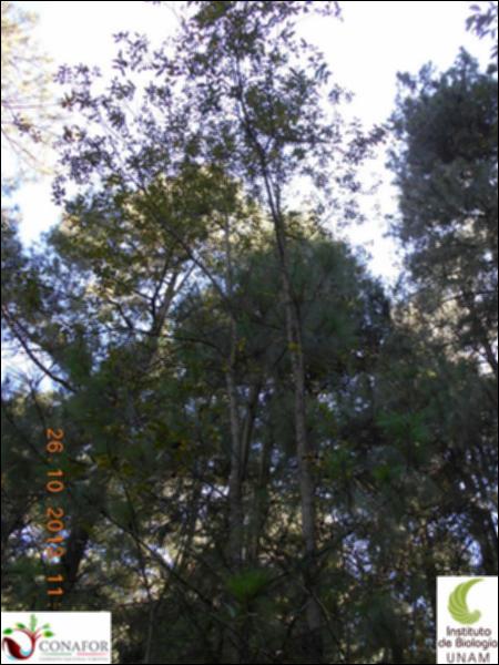 61591_S1_ARC_20131026_002_002.jpg.jpg