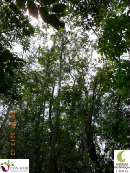 74738_S1_ARC_20130706_011_002.jpg.jpg