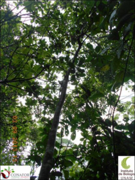 71541_S4_ARC_20130903_011_002.jpg.jpg