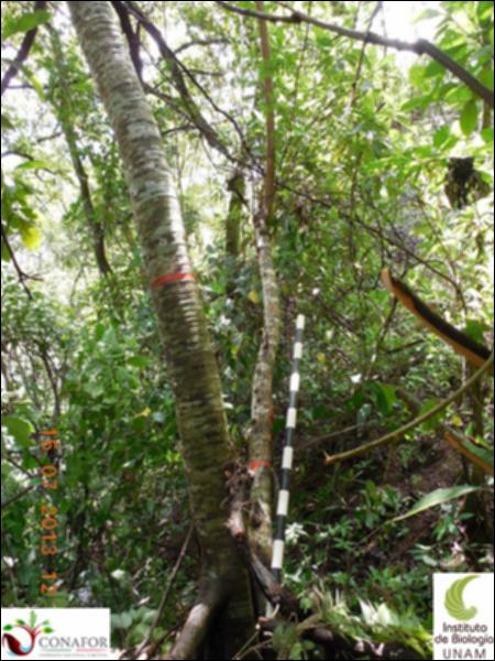 75718_S2_ARC_20130715_012_001.jpg.jpg