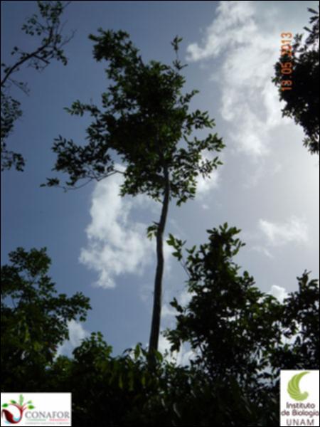 63498_S1_ARC_20130513_006_001.jpg.jpg